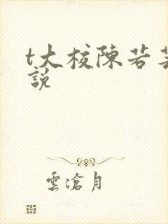 t大校陈若芸小说