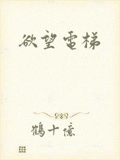 欲望电梯