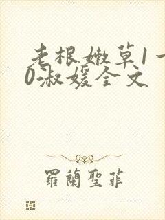 老根嫩草1一40淑媛全文