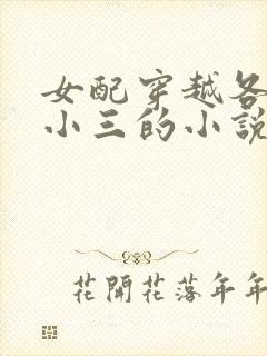 女配穿越各个做小三的小说