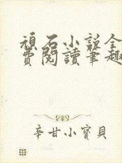 顽石小说全文免费阅读笔趣阁