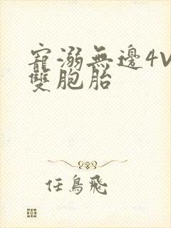 宠溺无边4V2双胞胎