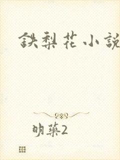 铁梨花小说
