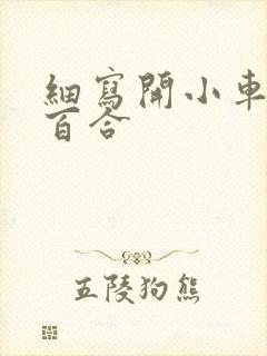 细写开小车车的百合