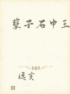 孽子石中玉