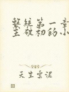 系统第一章给宿主破初的小说