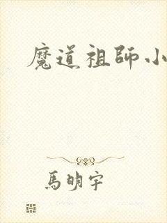 魔道祖师小说