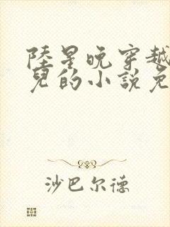 陆星晚穿越成婴儿的小说免费阅读全文