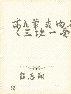 高h荤爽肉欲文〈三攻一受