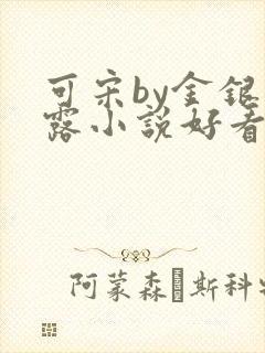 可宋by金银花露小说好看吗