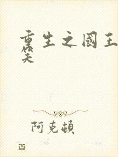 重生之国王的微笑