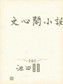 文心阁小说
