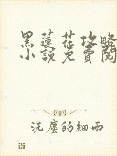 黑莲花攻略手册小说免费阅读全文