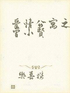 爱情公寓之极品曾小贤