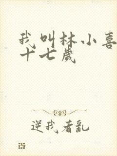 我叫林小喜今年十七岁