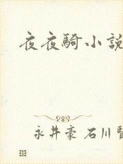 夜夜骑小说