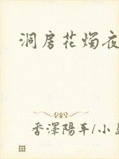 洞房花烛夜小说