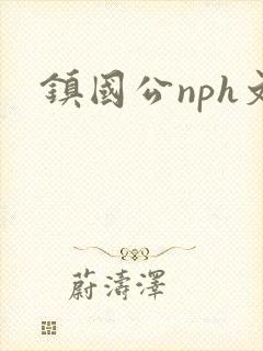 镇国公nph文