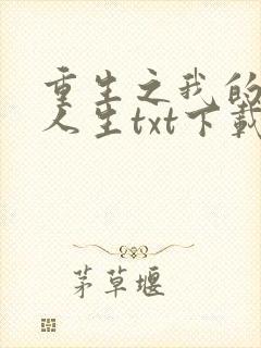 重生之我的书记人生txt下载