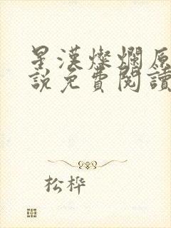 星汉灿烂原著小说免费阅读