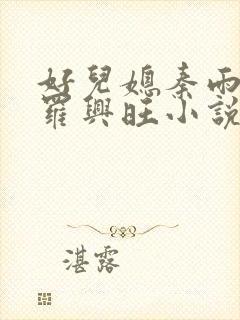 好儿媳秦雨罗明罗兴旺小说