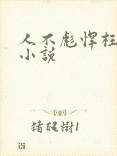 人不彪悍枉少年小说