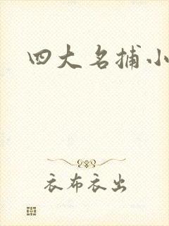 四大名捕小说