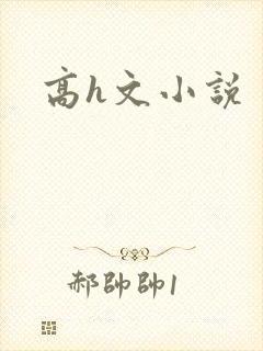 高h文小说