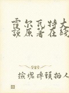 霍尔瓦特大街小说原著在线阅读