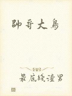 帅哥大鸟