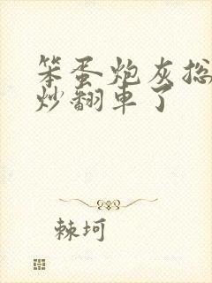 笨蛋炮灰总被爆炒翻车了