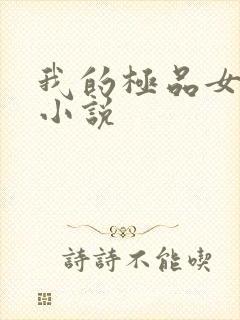 我的极品女老师小说