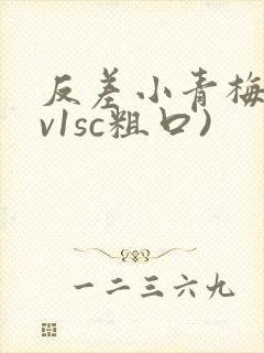 反差小青梅(1v1sc粗口)