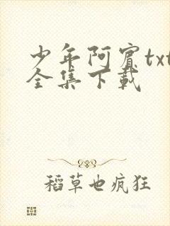 少年阿宾txt全集下载