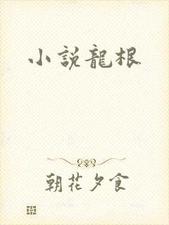 小说龙根