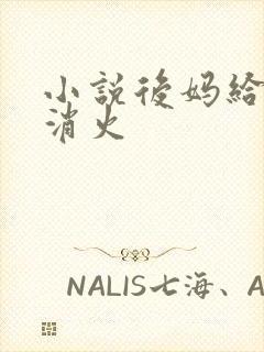 小说后妈给我消消火