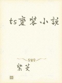 ts变装小说