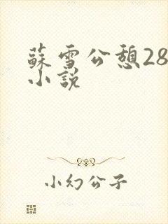 苏雪公憩28篇小说