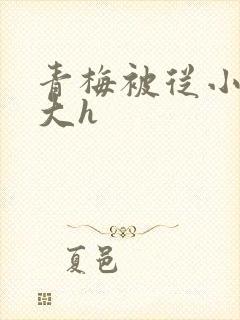 青梅被从小摸到大h