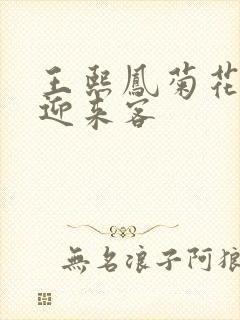 王熙凤菊花门初迎来客