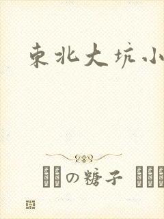 东北大坑小说