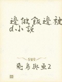 边做饭边被躁bd小说