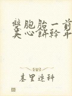 双胞胎一前一后夹心饼干年下