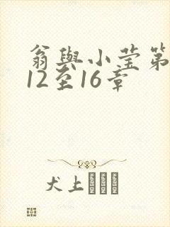 翁与小莹第十部12至16章