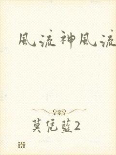 风流神风流记