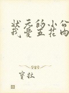 状元的小公主(我爱五花肉)