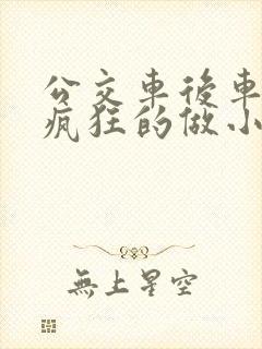 公交车后车座的疯狂的做小