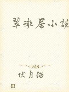 翠微居小说