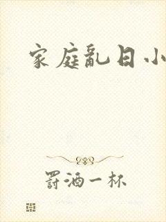 家庭乱日小说