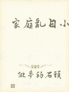 家庭乱日小说